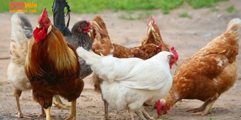Giao diện thân thiện và dễ sử dụng